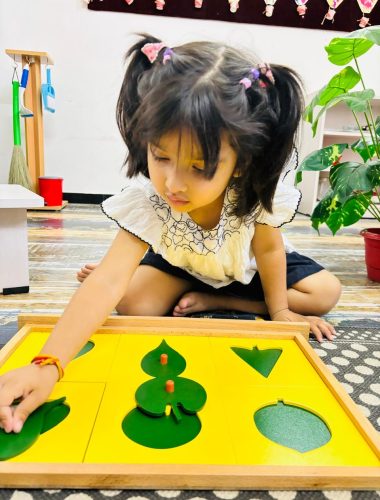 WhatsApp Image 2024-06-11 at 06.49.19